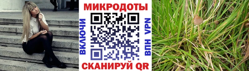 Купить  Бердск  Галлюциногенные грибы MAGIC MUSHROOMS 